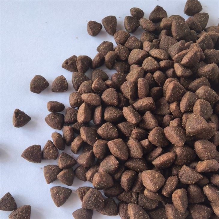 Healthy Cat Food high quality